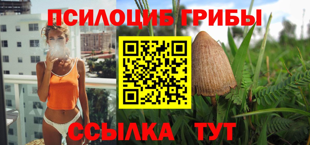 Галлюциногенные грибы мицелий Асино
