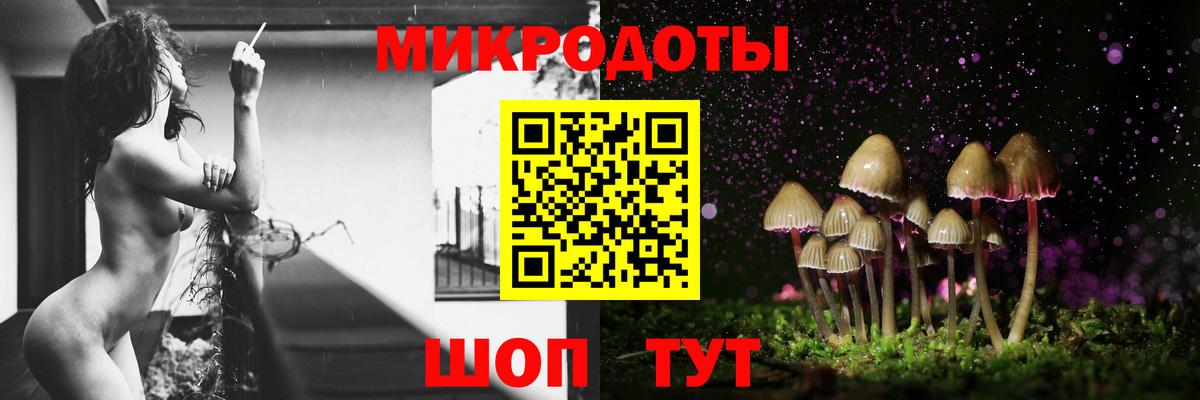 Псилоцибиновые грибы мицелий  Галлюциногенные грибы Psilocybe  Вход с VPN  Асино 
